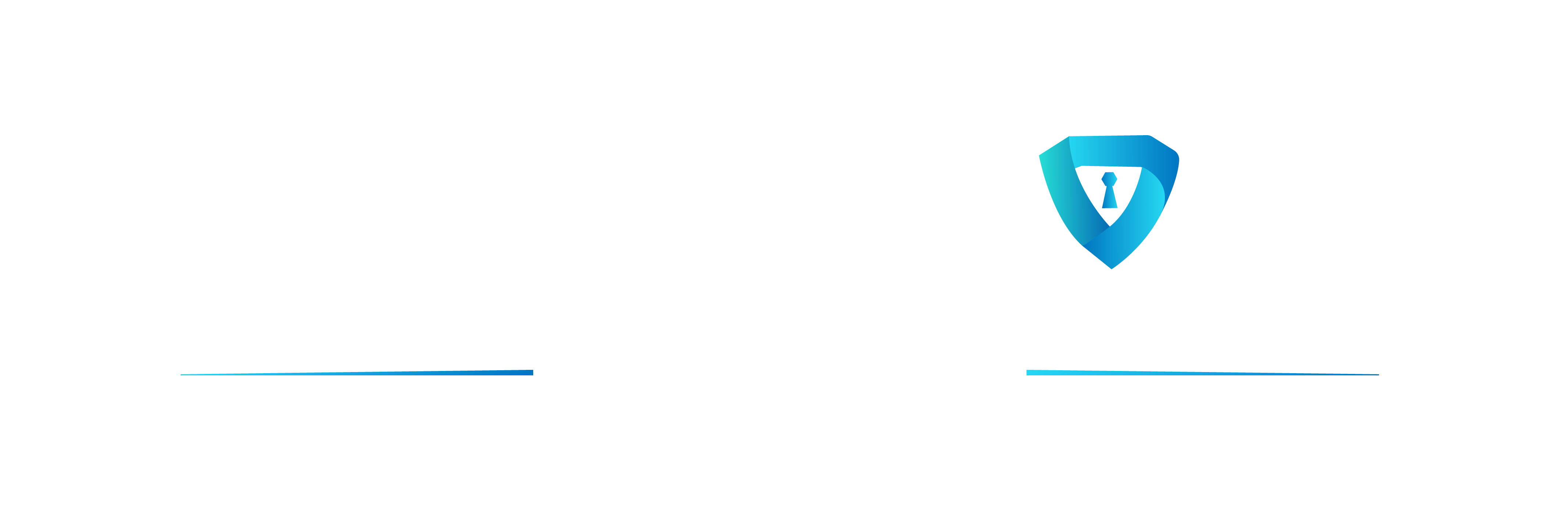 Stronghold Security Logo